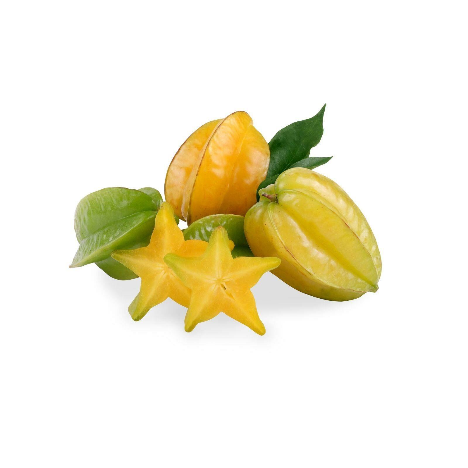 Meyve Verir Durumda 20 Lt Saksıda Carambola (Yıldız Meyvesi) Fidanı