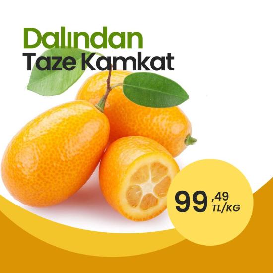 Dalından Taze 1 KG Kamkat Meyvesi